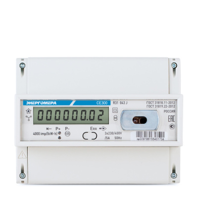 CE300-R31